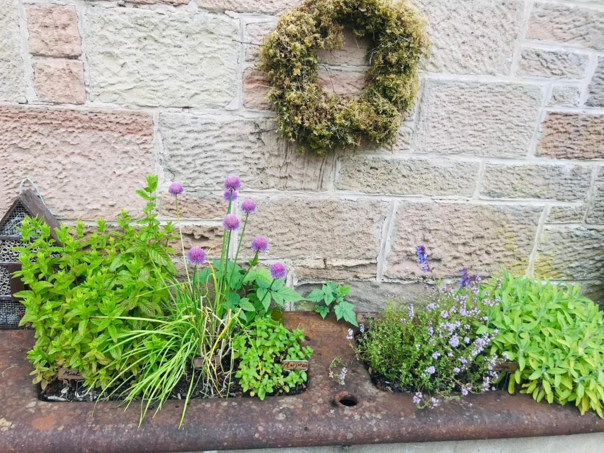 Brylach Steading Aberlour Exteriör bild